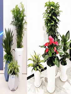 惊叹！宁波奉化绿化修剪的神奇魔法，你知道吗？